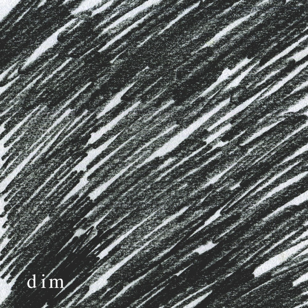 dim(2016)